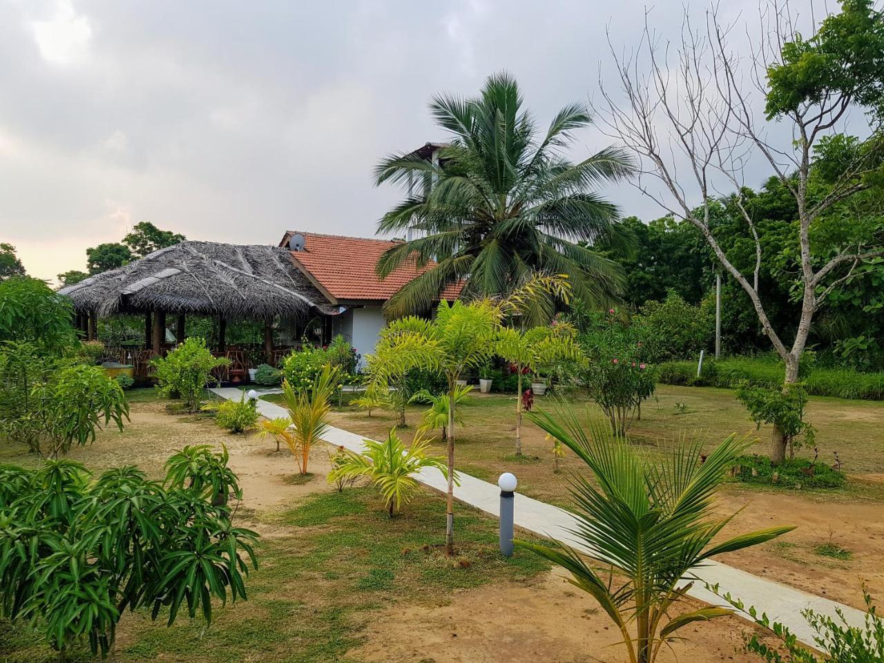 Pearl Cave Cabanas & Resturant Tangalle Exterior foto